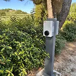 Tenuta Conti Faina * Fratta Todina