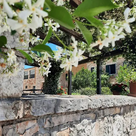 Farm stay Tenuta Conti Faina Fratta Todina
