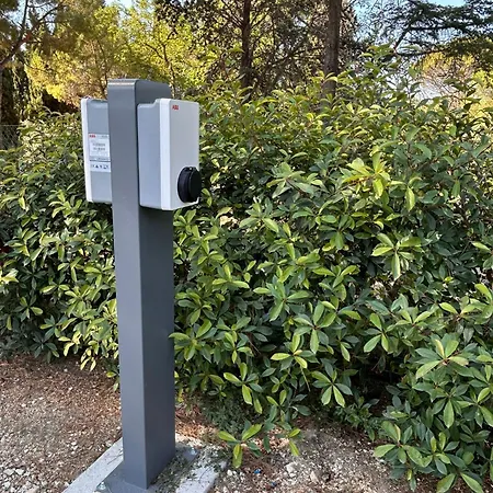 Tenuta Conti Faina *