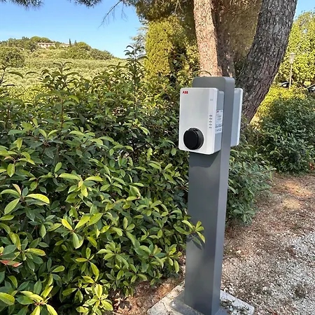 Tenuta Conti Faina * Fratta Todina