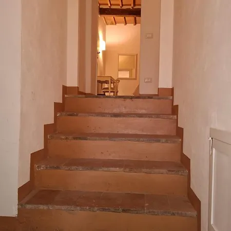 Tenuta Conti Faina Bauernhof Fratta Todina