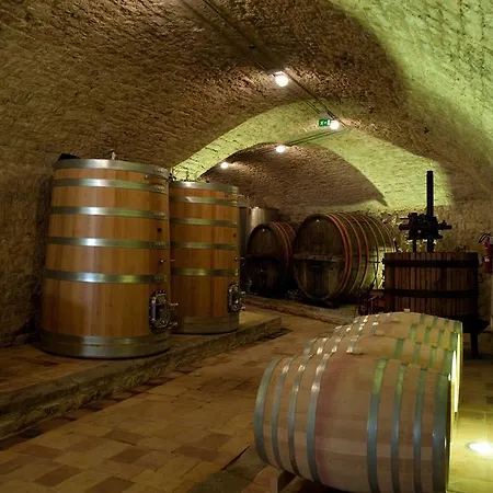 Tenuta Conti Faina Farm stay Fratta Todina