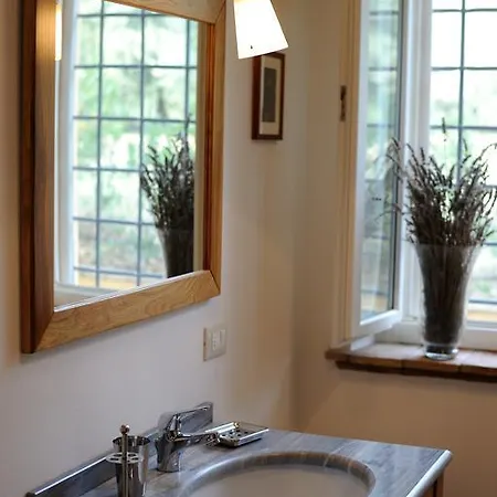 Tenuta Conti Faina Bauernhof Fratta Todina