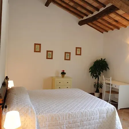 Tenuta Conti Faina Bauernhof *